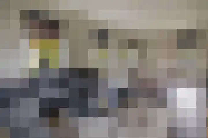 Markedwarsweg 10 Wedde thumbnail 14