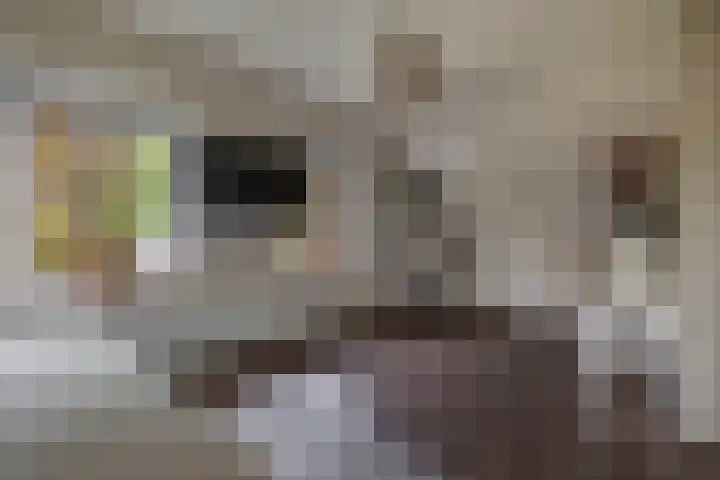 Markedwarsweg 10 Wedde thumbnail 26
