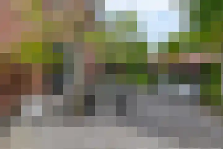 Markedwarsweg 10 Wedde thumbnail 36