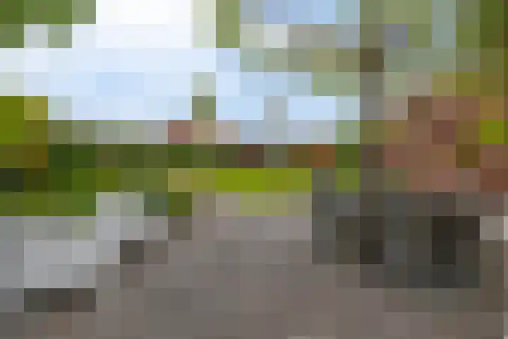 Markedwarsweg 10 Wedde thumbnail 37