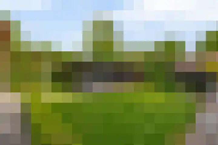 Markedwarsweg 10 Wedde thumbnail 38