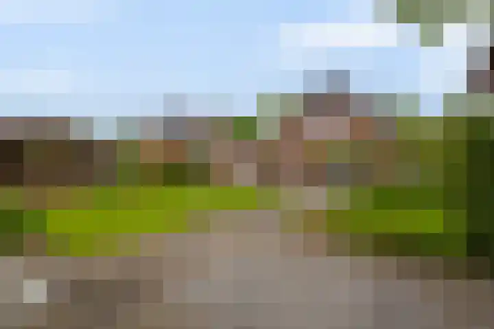 Markedwarsweg 10 Wedde thumbnail 39