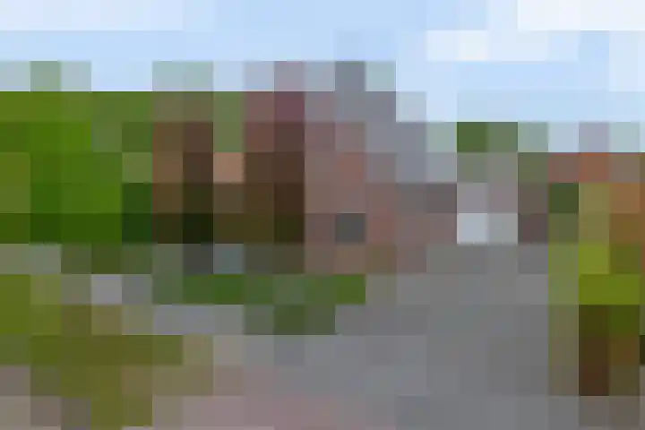 Markedwarsweg 10 Wedde thumbnail 4