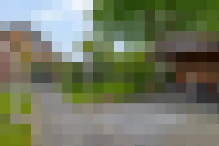 Markedwarsweg 10 Wedde thumbnail 40