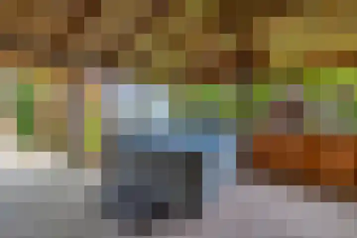 Markedwarsweg 10 Wedde thumbnail 41