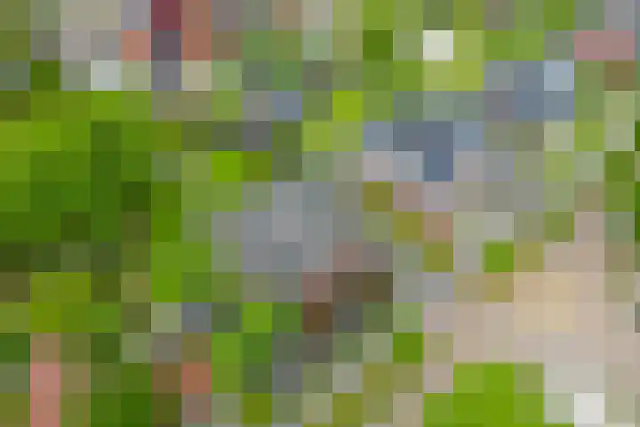 Markedwarsweg 10 Wedde thumbnail 42