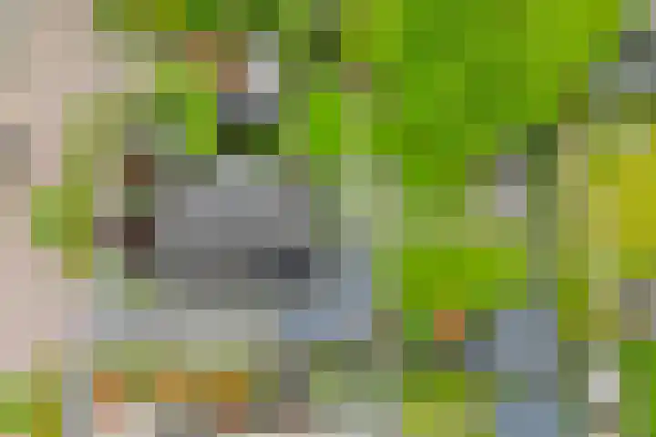 Markedwarsweg 10 Wedde thumbnail 43
