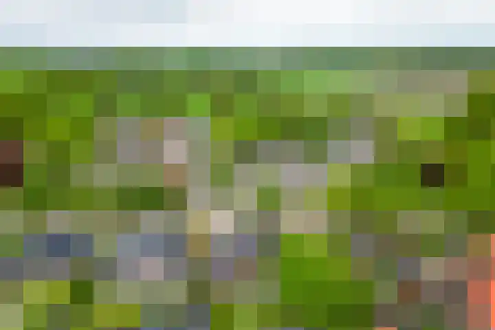 Markedwarsweg 10 Wedde thumbnail 44