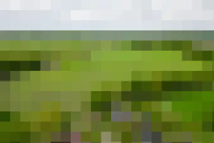 Markedwarsweg 10 Wedde thumbnail 45