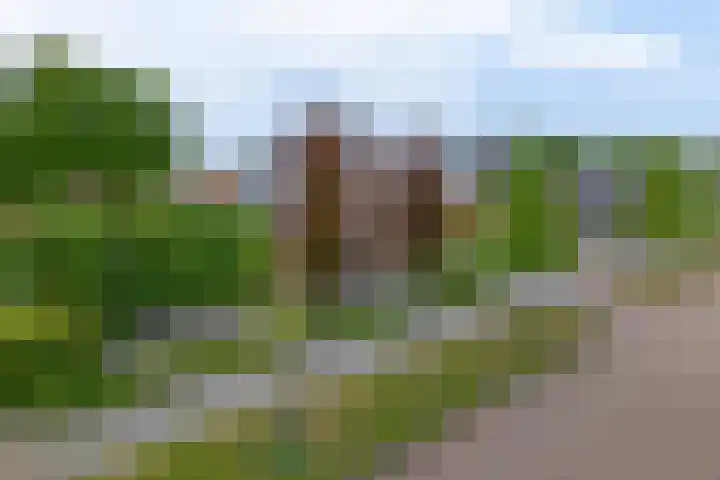 Markedwarsweg 10 Wedde thumbnail 6