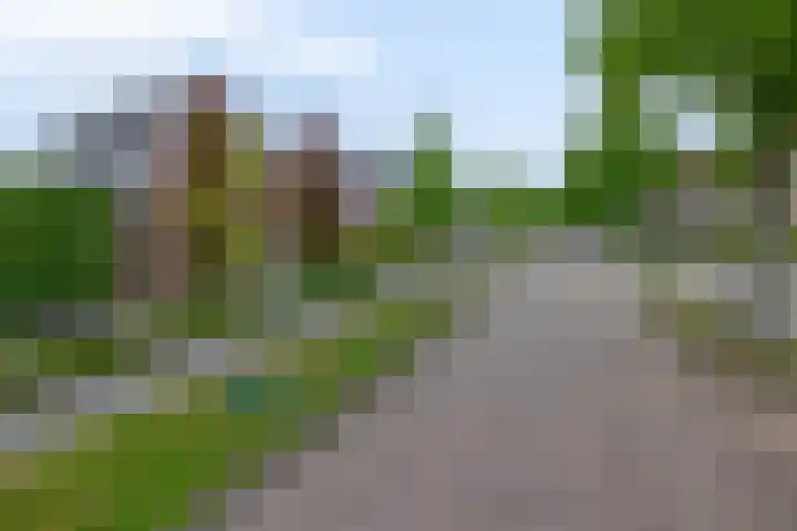 Markedwarsweg 10 Wedde thumbnail 7