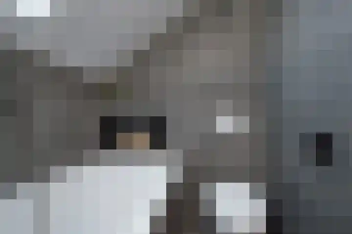Markelaan 7 Rolde thumbnail 42