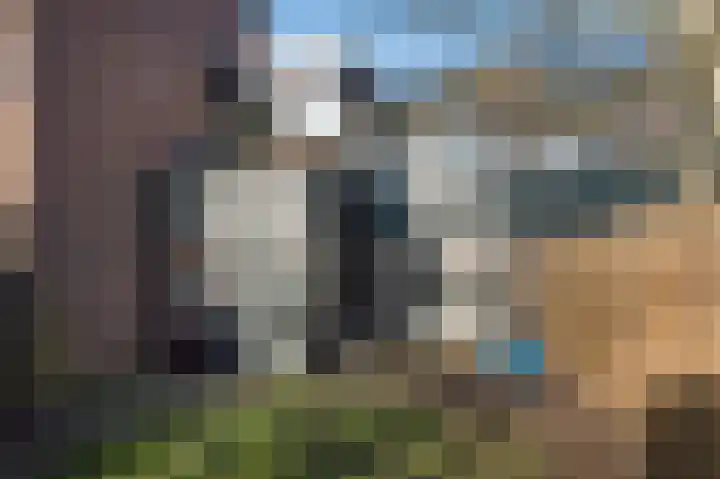 Markelaan 7 Rolde thumbnail 46