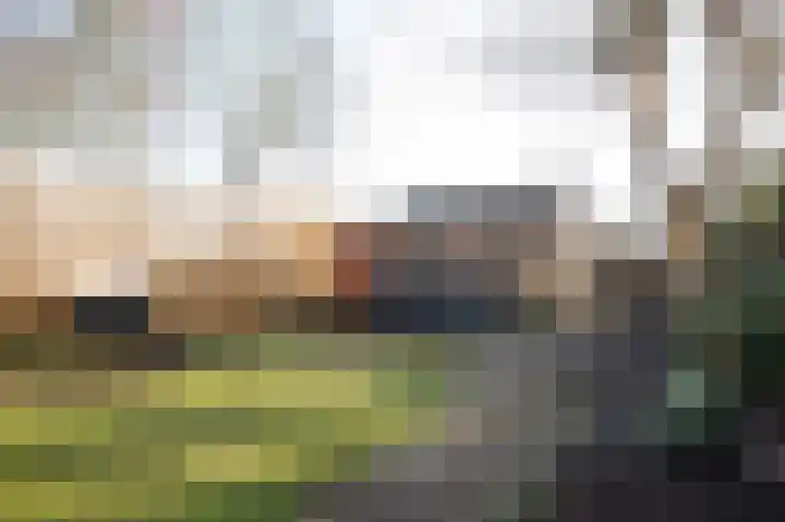Markelaan 7 Rolde thumbnail 47