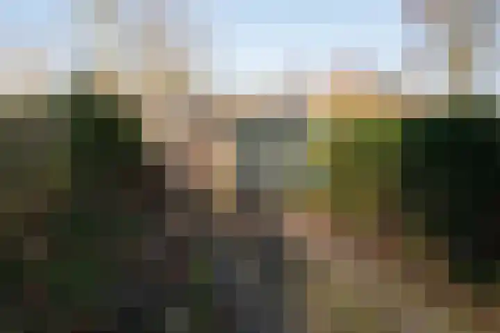 Markelaan 7 Rolde thumbnail 51