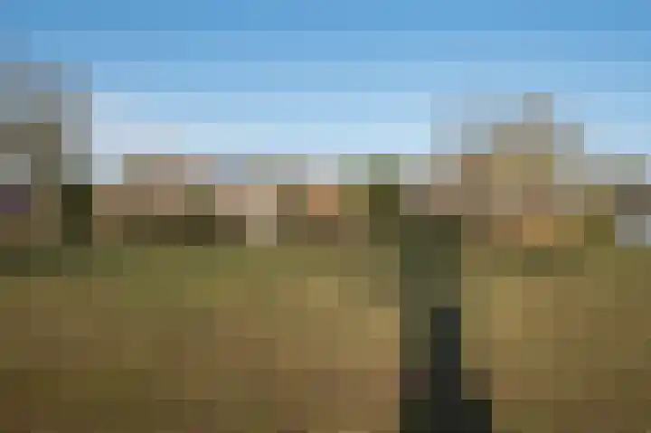 Markelaan 7 Rolde thumbnail 52