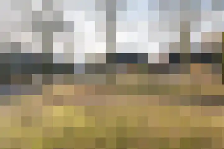 Markelaan 7 Rolde thumbnail 54