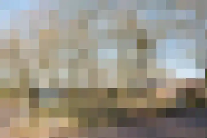 Markelaan 7 Rolde thumbnail 55