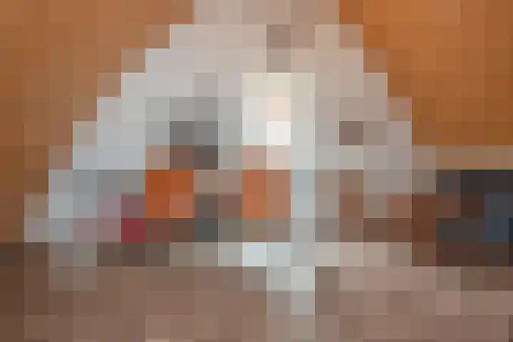 Markeloseweg 23 Rijssen thumbnail 38