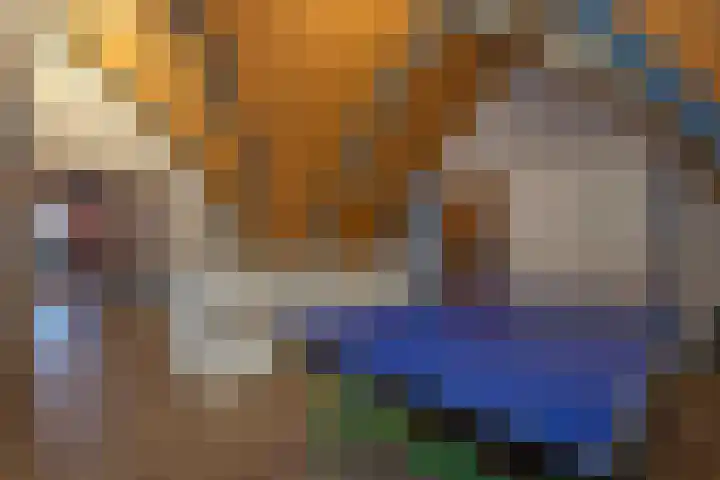 Markeloseweg 23 Rijssen thumbnail 40