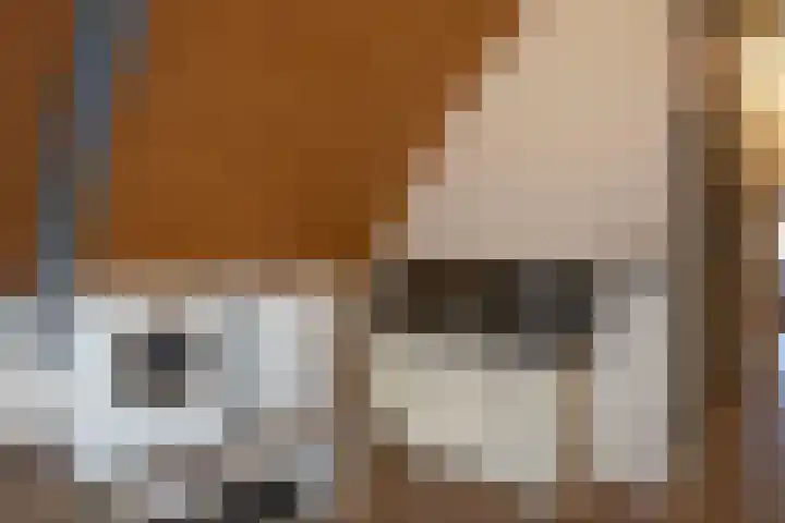 Markeloseweg 23 Rijssen thumbnail 41