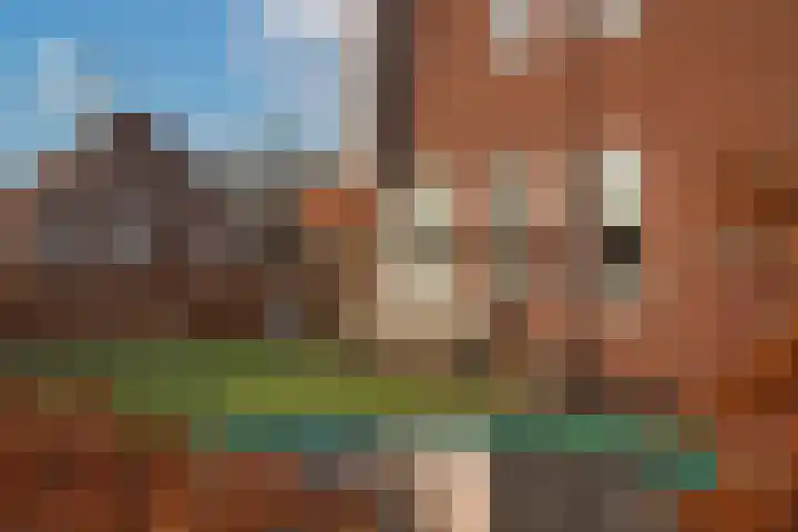 Markeloseweg 23 Rijssen thumbnail 49