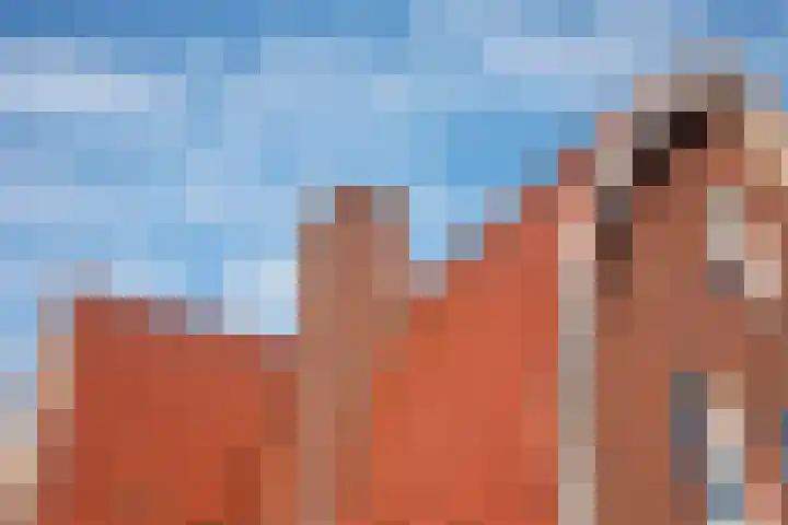Markeloseweg 23 Rijssen thumbnail 50