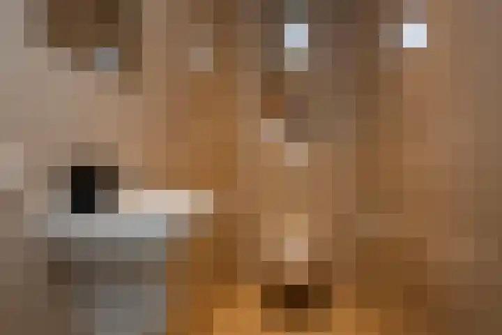 Markeloseweg 23 Rijssen thumbnail 7