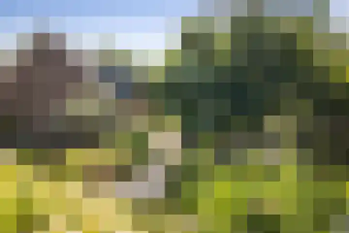 Markeloseweg 25 Laren thumbnail 34
