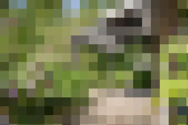 Markeloseweg 25 Laren thumbnail 35