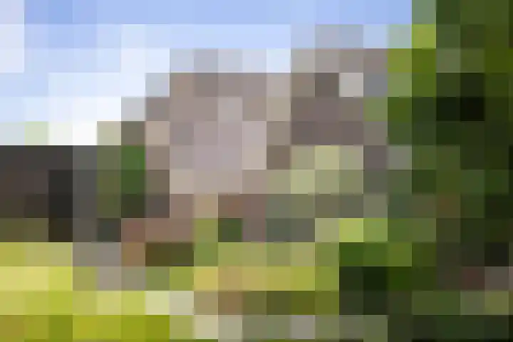 Markeloseweg 25 Laren thumbnail 42