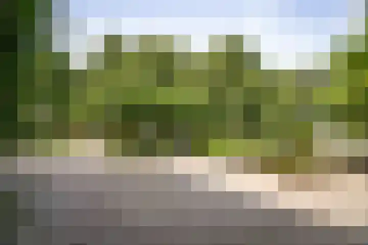 Markeloseweg 25 Laren thumbnail 44