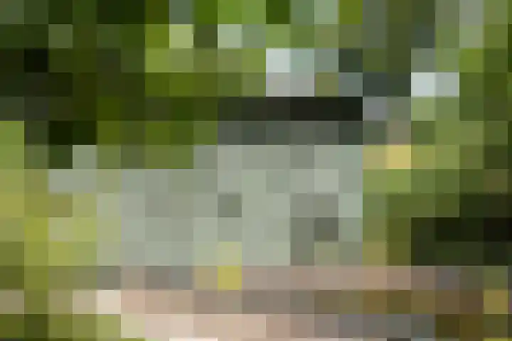 Markeloseweg 25 Laren thumbnail 45