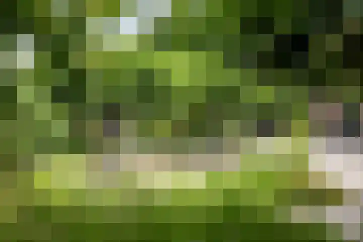 Markeloseweg 25 Laren thumbnail 46