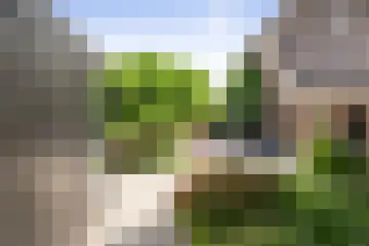 Markeloseweg 25 Laren thumbnail 51