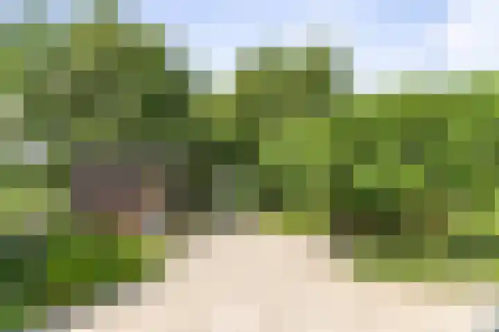 Markeloseweg 25 Laren thumbnail 52