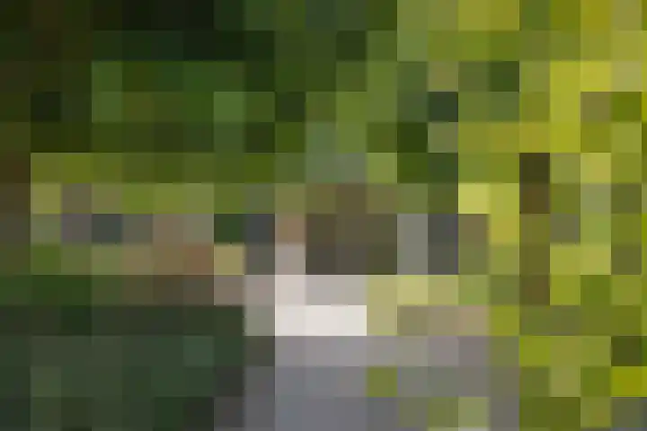Markeloseweg 25 Laren thumbnail 56
