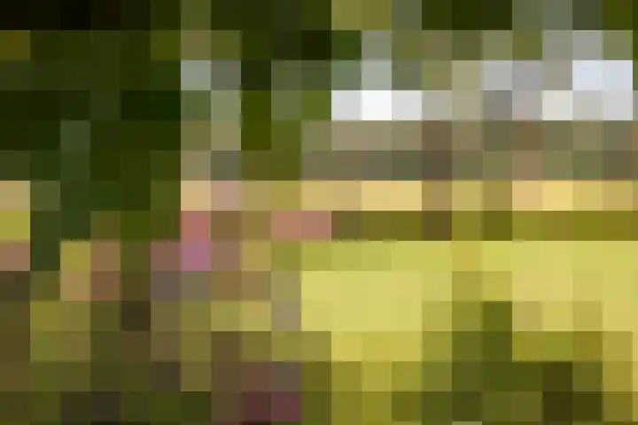 Markeloseweg 25 Laren thumbnail 59