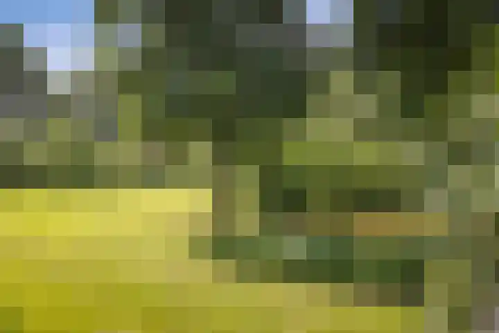 Markeloseweg 25 Laren thumbnail 60