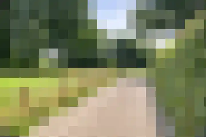 Markeloseweg 25 Laren thumbnail 64