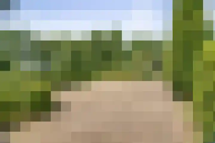 Markeloseweg 25 Laren thumbnail 65
