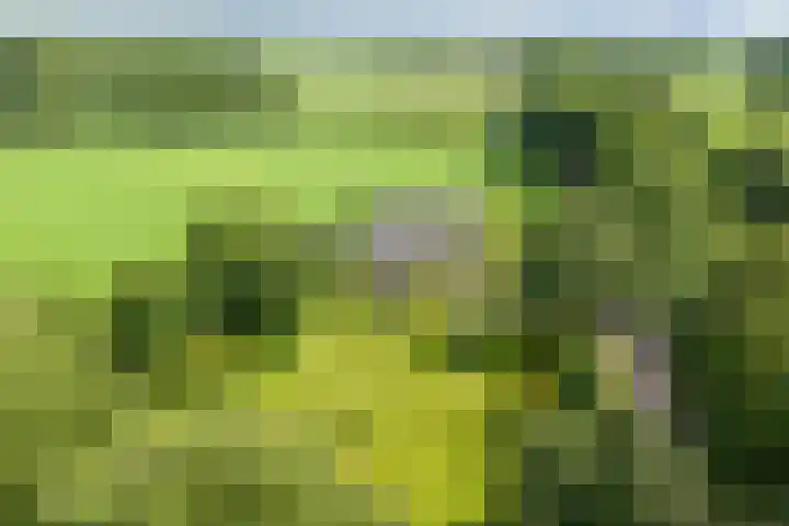Markeloseweg 25 Laren thumbnail 66