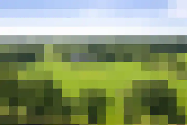 Markeloseweg 25 Laren thumbnail 67