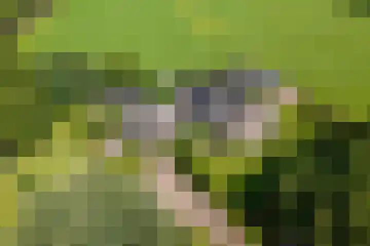 Markeloseweg 25 Laren thumbnail 69