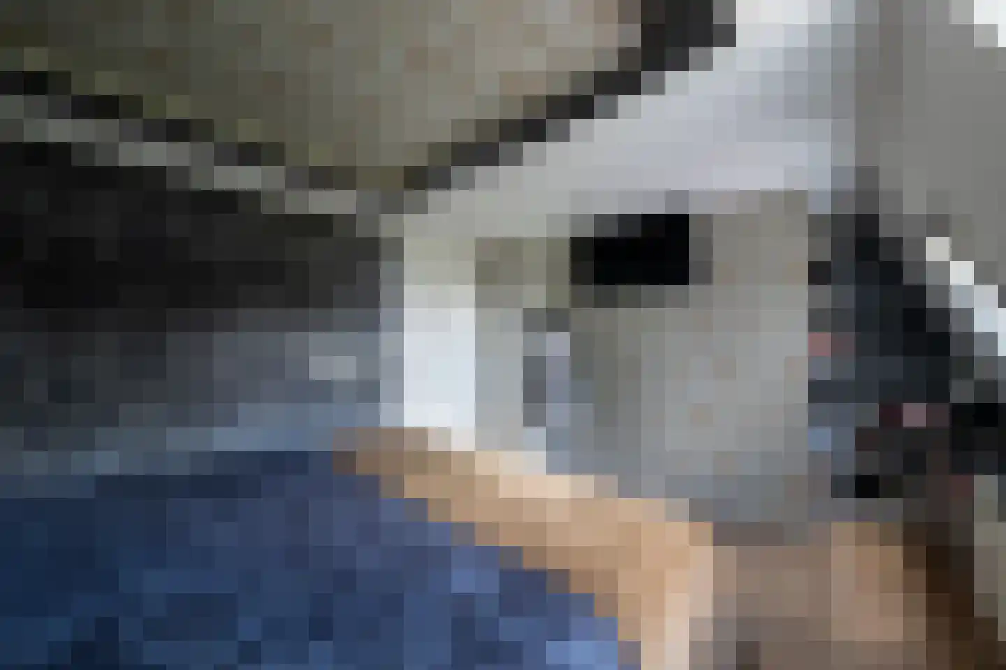 Markeloseweg 31 Goor thumbnail 16