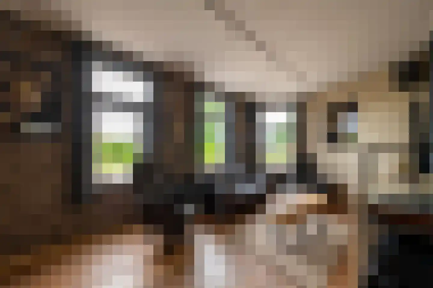 Markeloseweg 31 Goor thumbnail 4