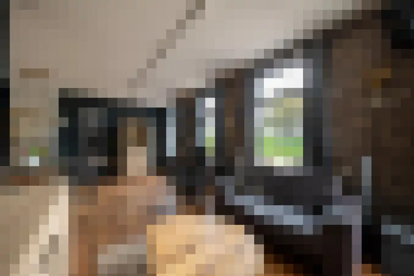 Markeloseweg 31 Goor thumbnail 5