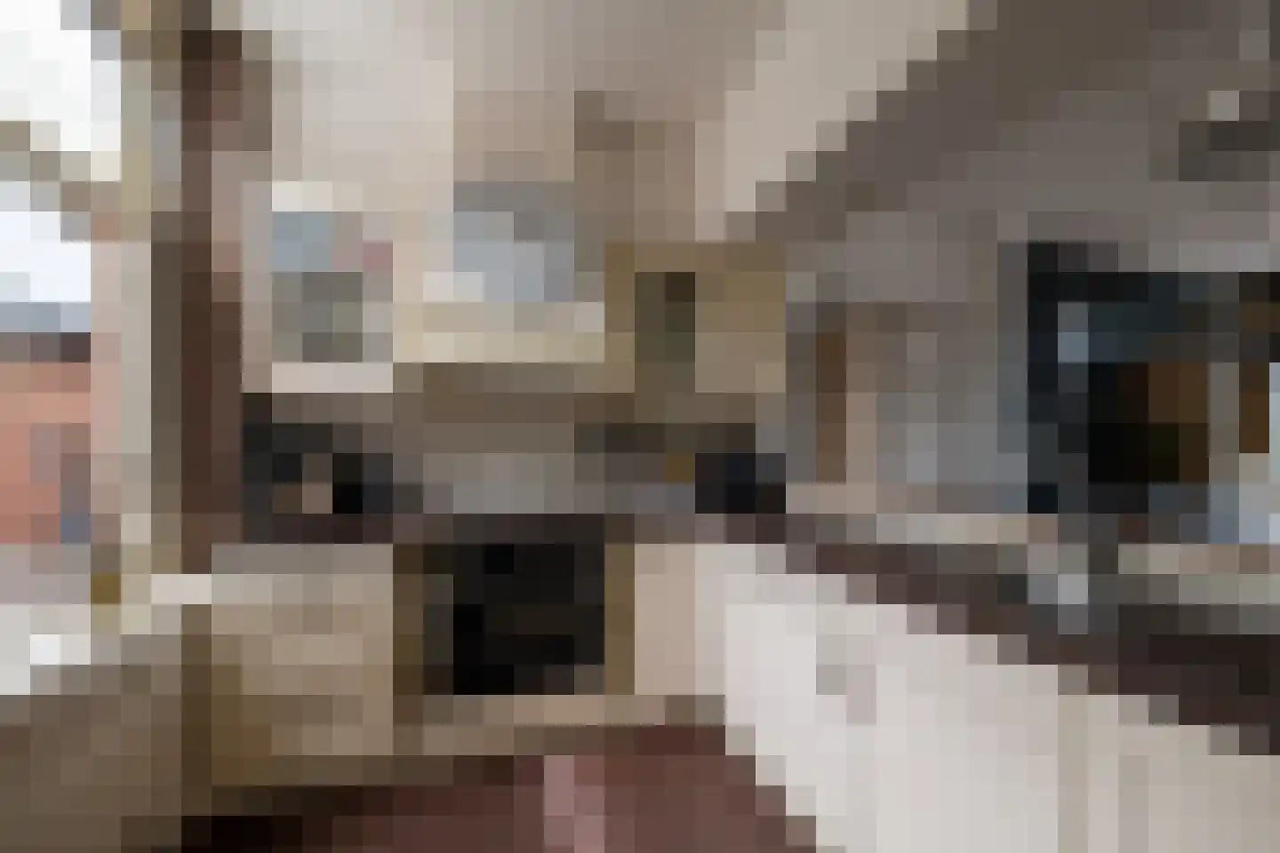 Markeloseweg 31 Goor thumbnail 6