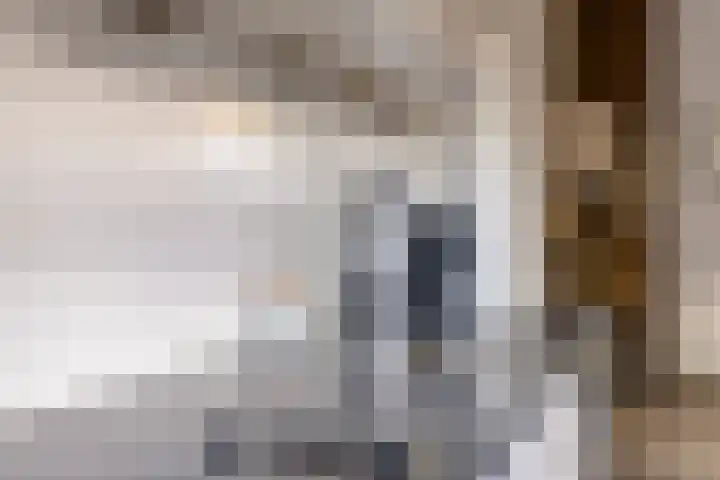 Markeloseweg 53 Goor thumbnail 10