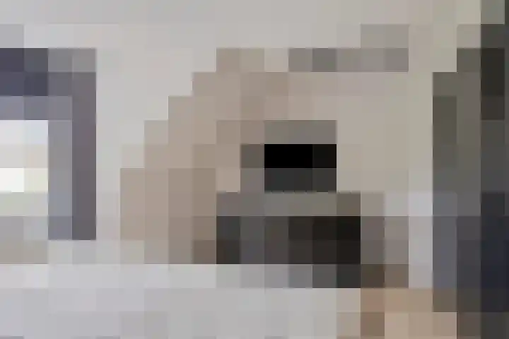 Markeloseweg 53 Goor thumbnail 16